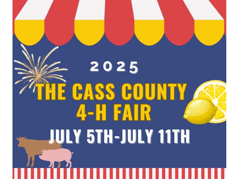 Fair Logo